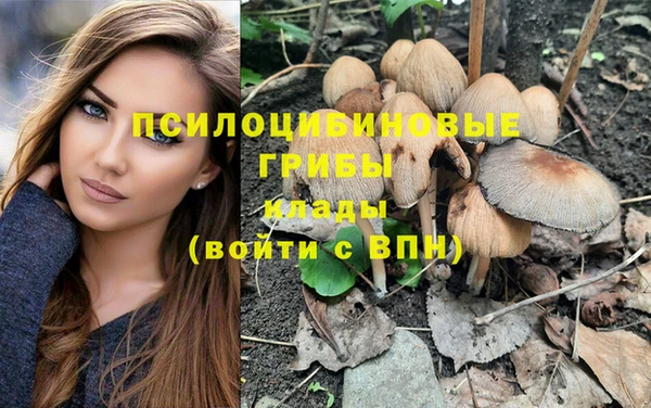 кокс Кодинск