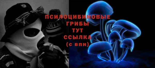 марки lsd Козельск
