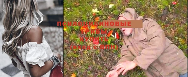 кокс Кодинск