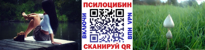 Купить где  Южно-Сахалинск  Галлюциногенные грибы прущие грибы 